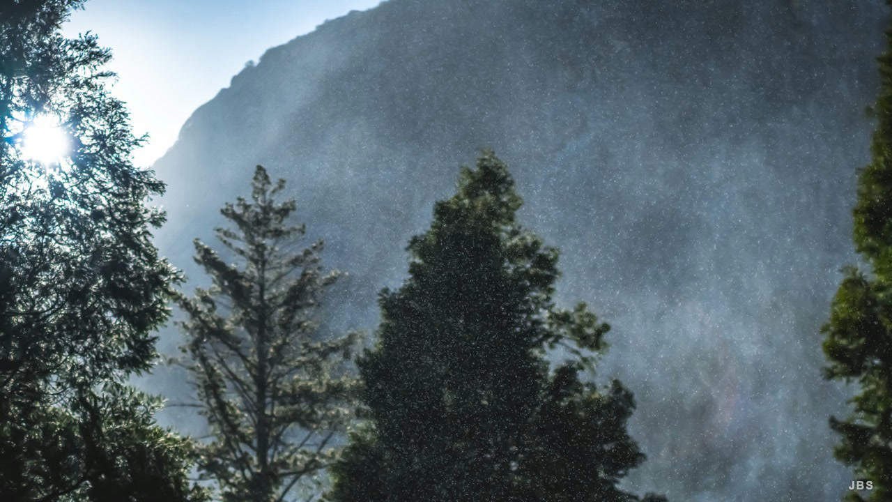 Sunlit mist drifting through evergreen trees beneath a granite cliff