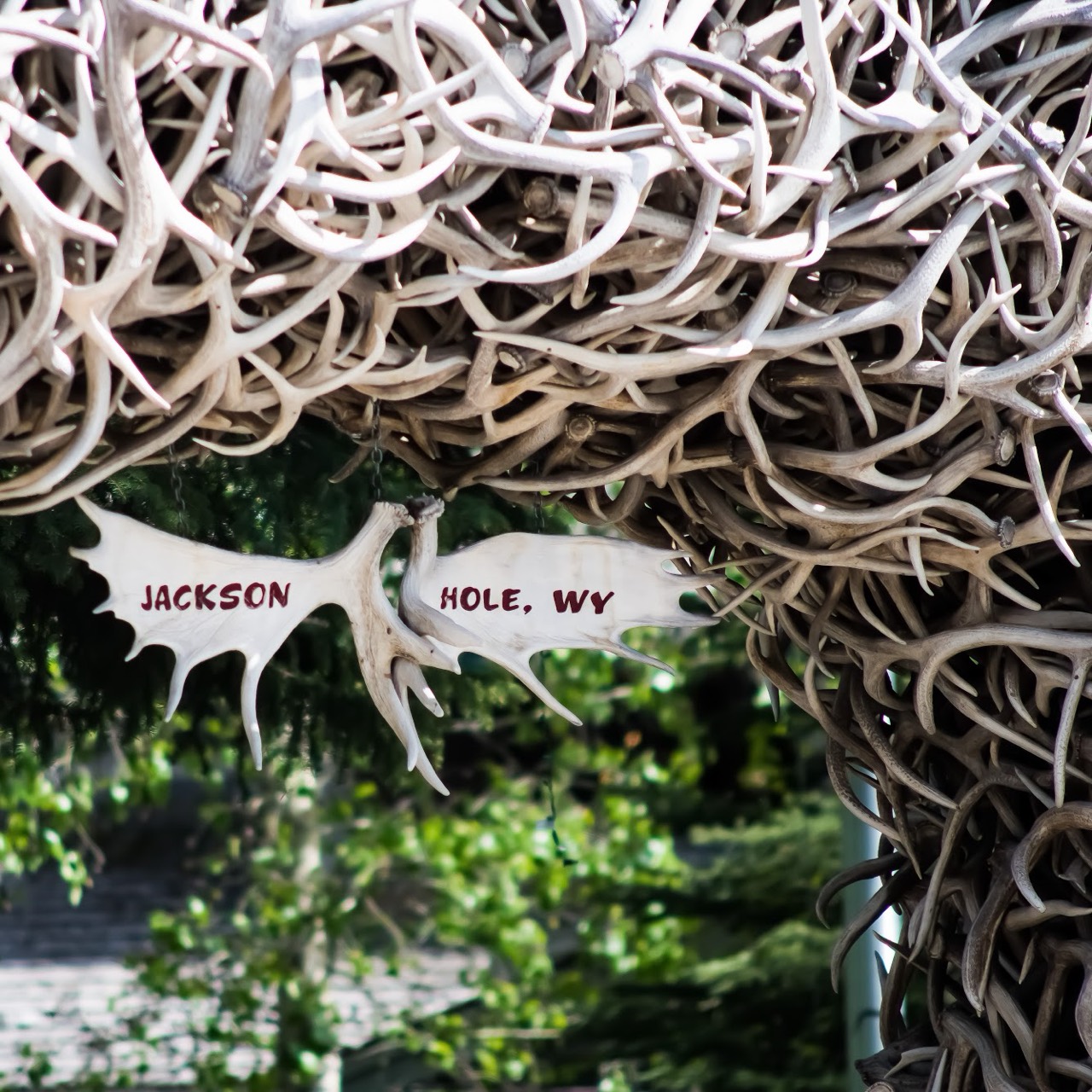 An arch made of antlers with a Jackson Hole sign