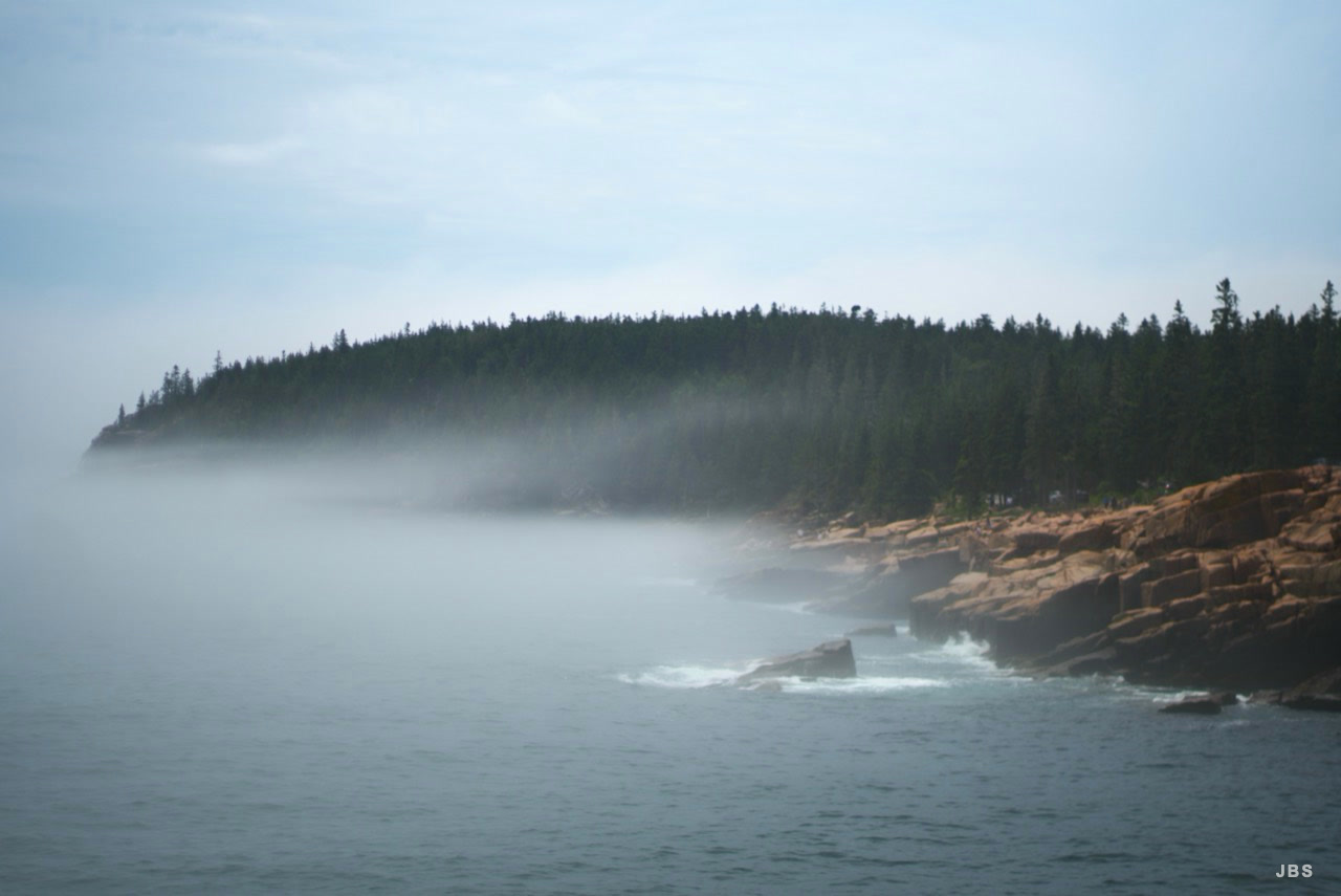 Sea mist drifting along a forested granite shoreline