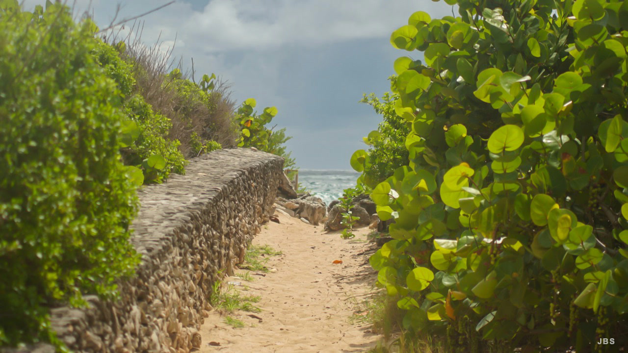 A sandy path bordered by stone and bright coastal greenery
