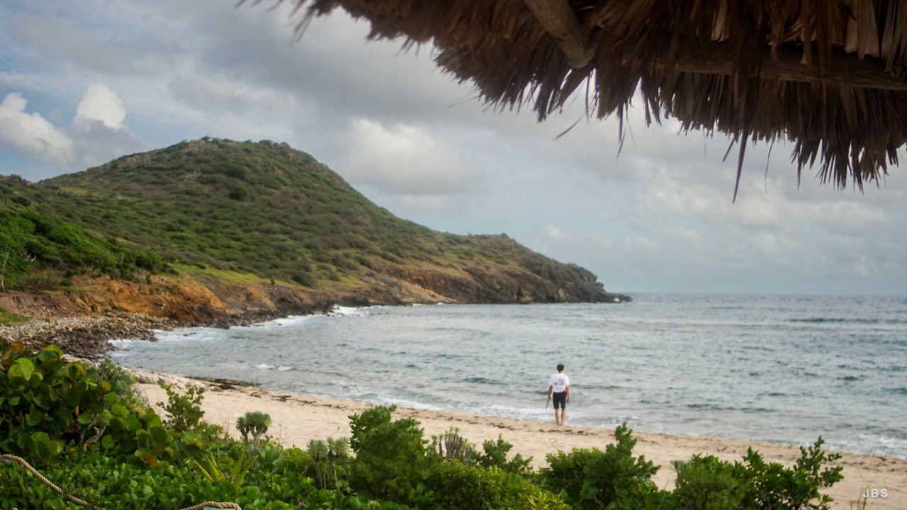 A lone person walking along a quiet tropical shore