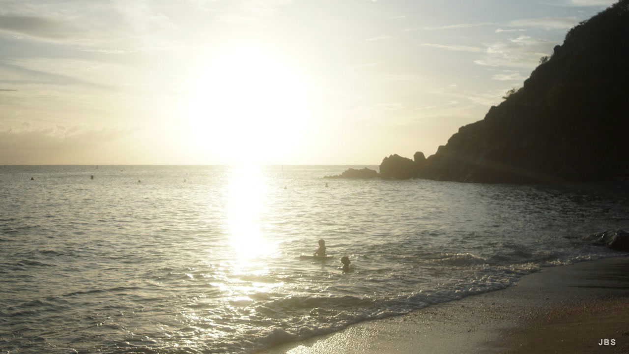 Swimmers silhouetted in golden evening light near a rocky point