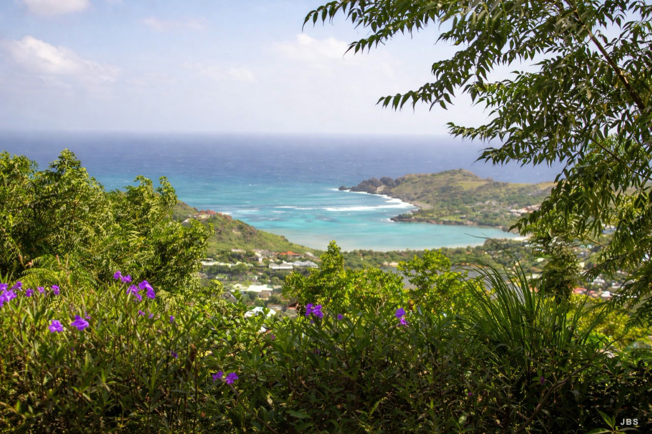 Purple flowers framing a high view of a turquoise island bay