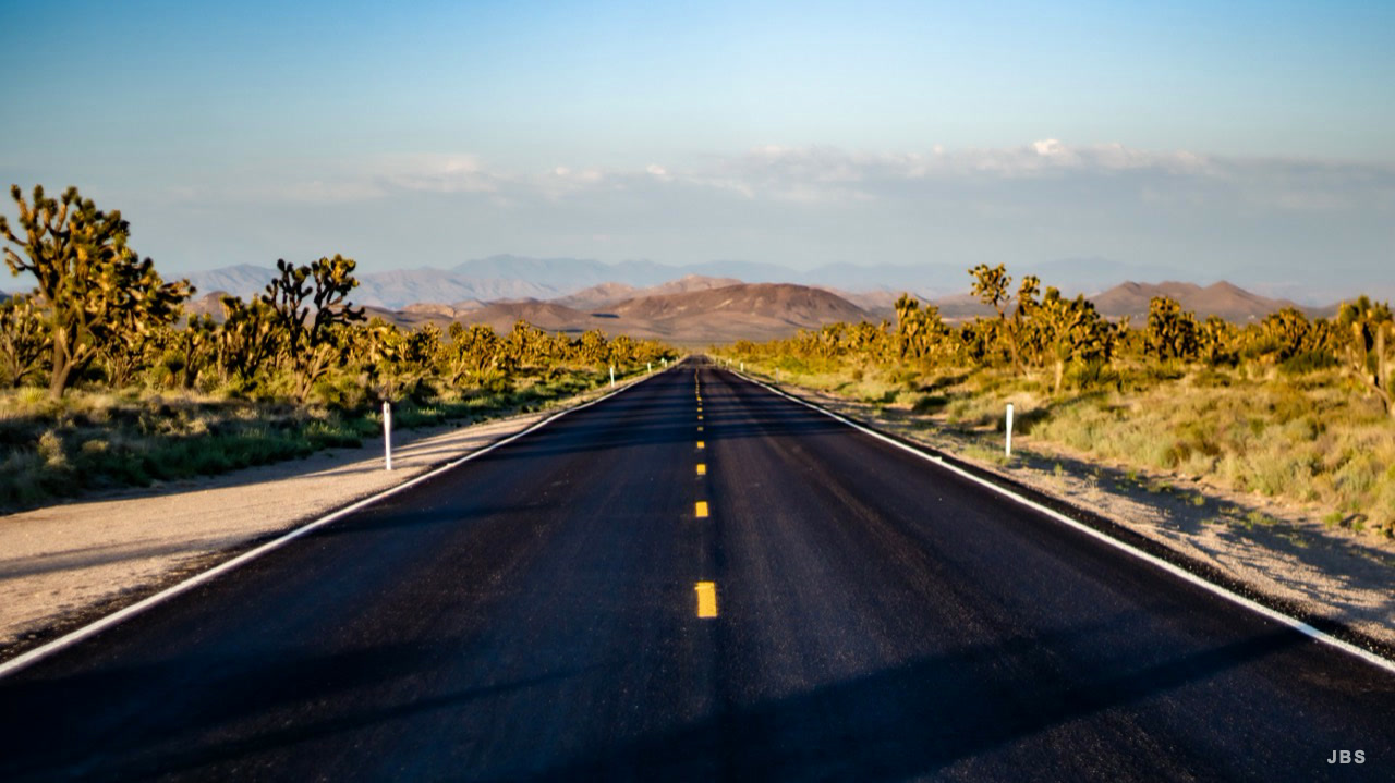 A straight blacktop road crossing a desert filled with Joshua trees