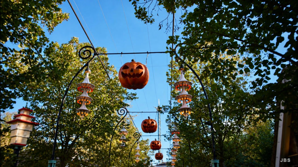Pumpkin lanterns suspended above a tree-lined path