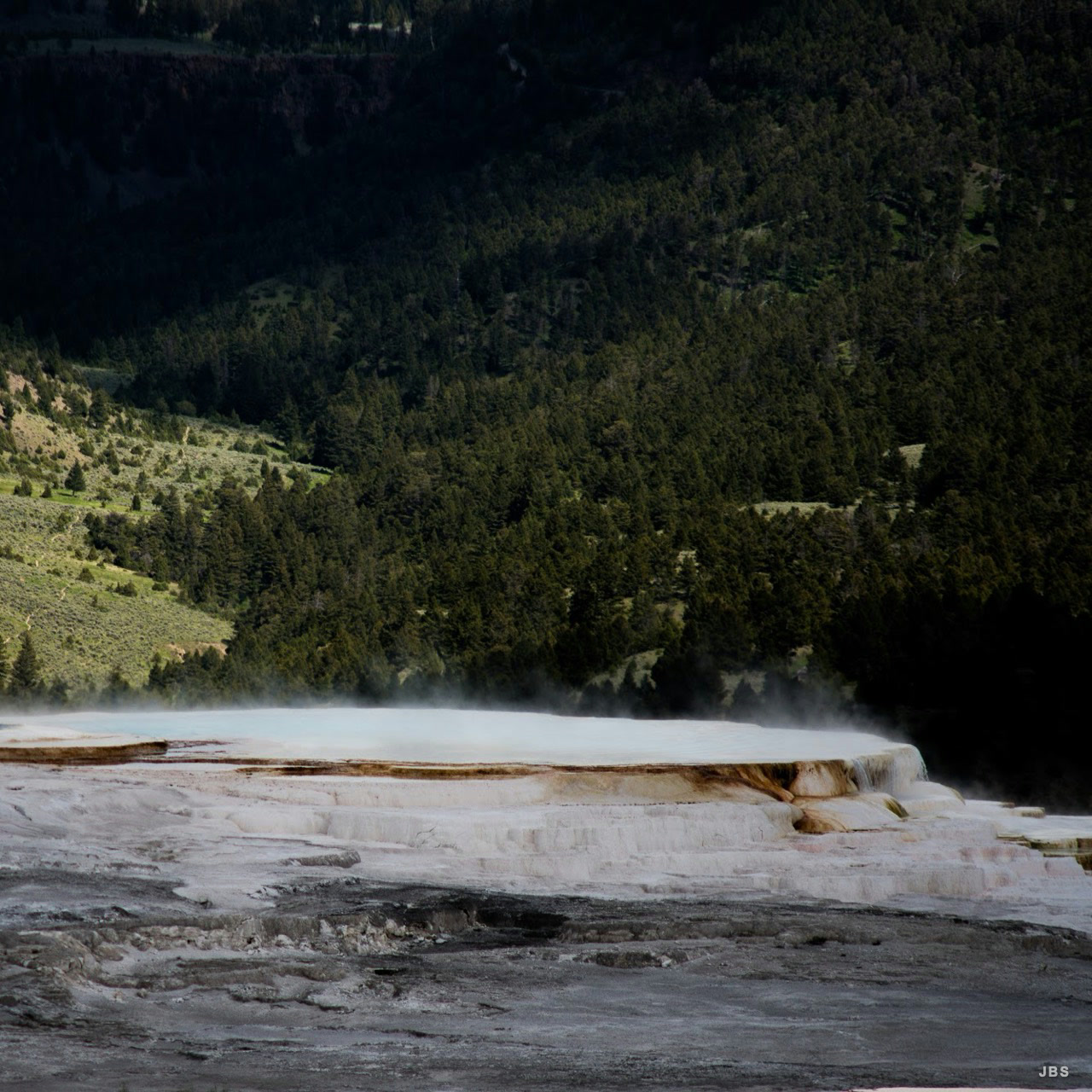 Steam drifting across pale mineral terraces below a dark forest